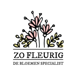 bloemenwinkelsonline.nl